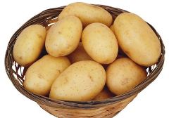 土豆的自述作文300字 土豆的自述作文300字