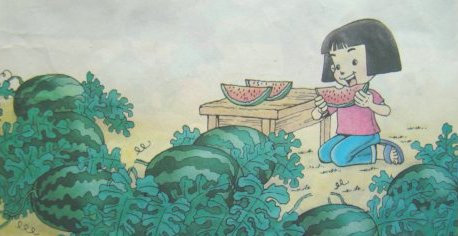 一年級(jí)看圖寫話吃西瓜 一年級(jí)看圖寫話吃西瓜